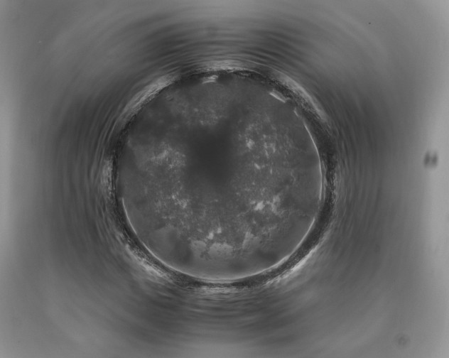 X0000090760825200707201501