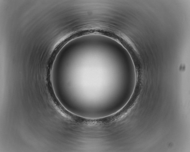 X0000090760826200707201501