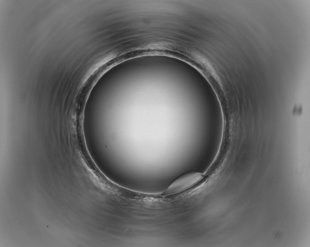 X0000090760827200707201501