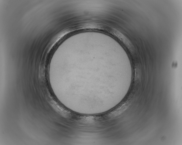 X0000090760828200707201501