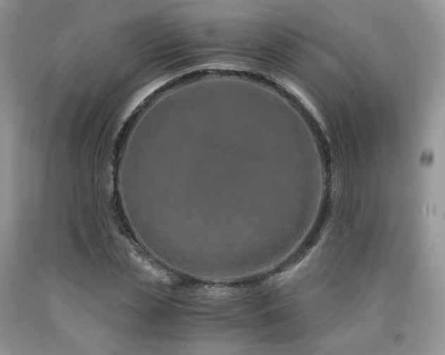 X0000090760829200707201501