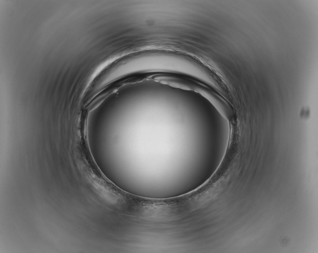 X0000090760830200707201502