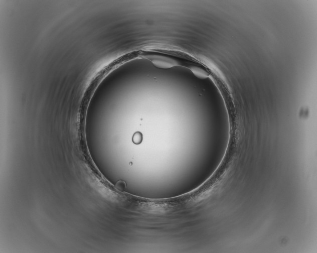 X0000090760831200707201502