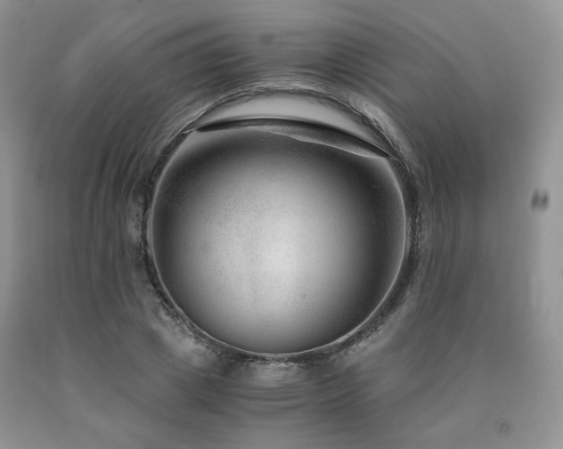 X0000090760833200707201502