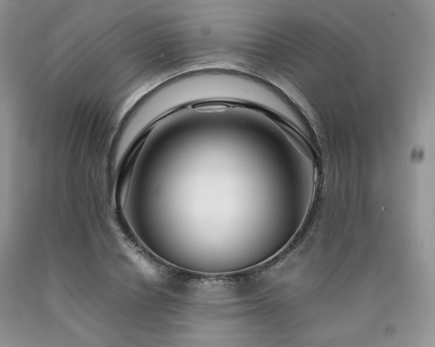 X0000090760834200707201502