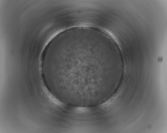 X0000090760835200707201502