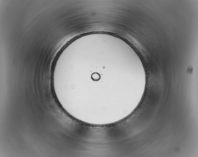 X0000090760836200707201502