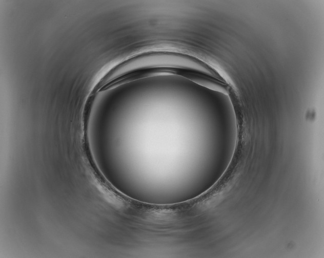 X0000090760837200707201502