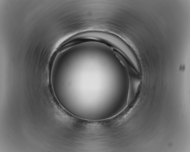 X0000090760838200707201502