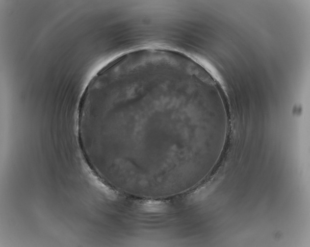 X0000090760839200707201502