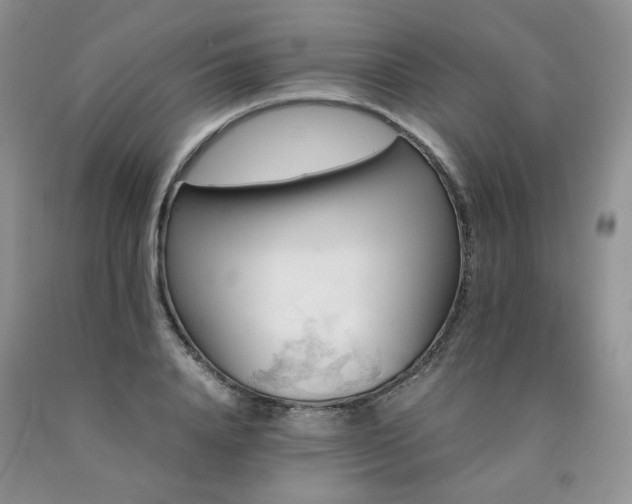 X0000090760840200707201502