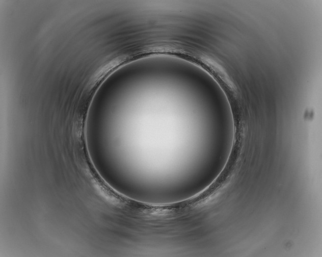 X0000090760841200707201502