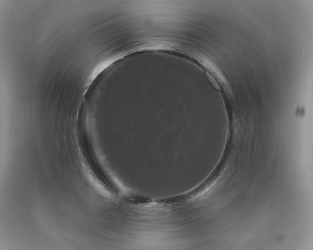 X0000090760842200707201502