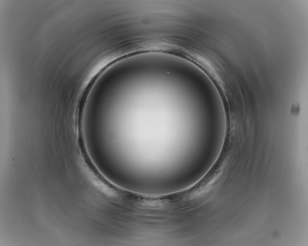 X0000090760843200707201502