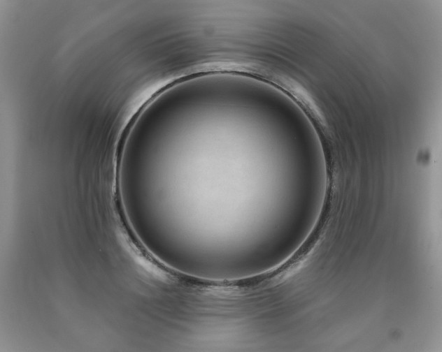 X0000090760844200707201502