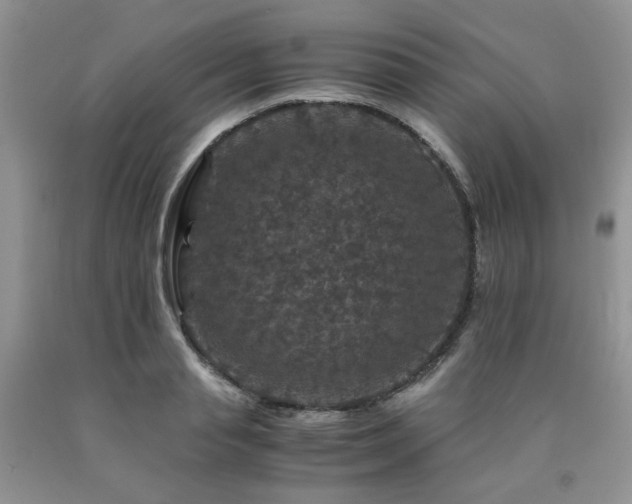 X0000090760845200707201502