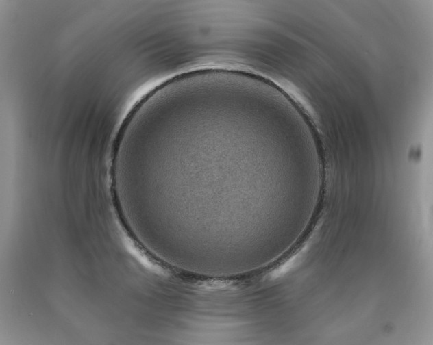 X0000090760846200707201502