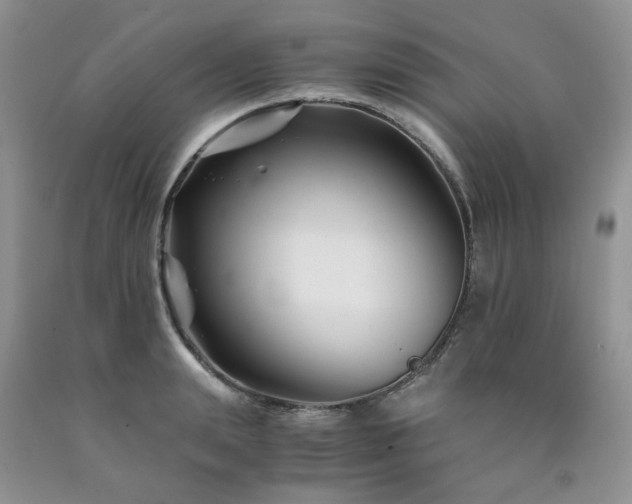 X0000090760847200707201502