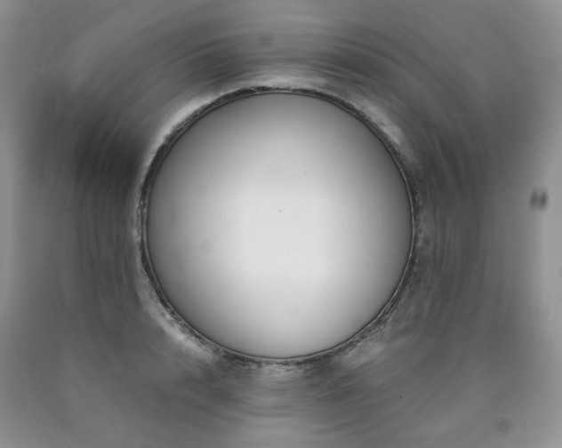 X0000090760848200707201502