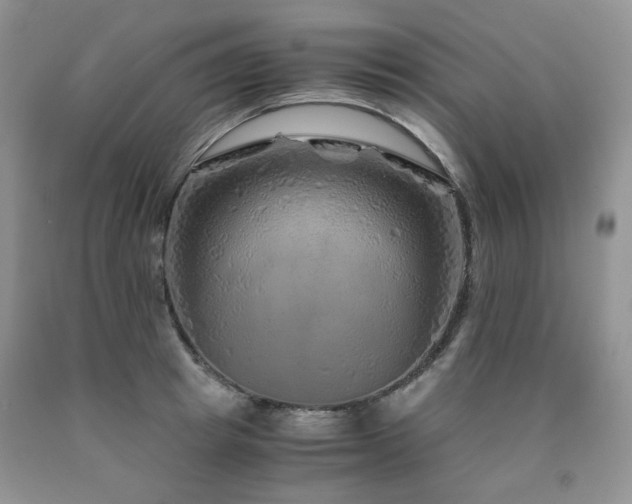 X0000090760849200707201502