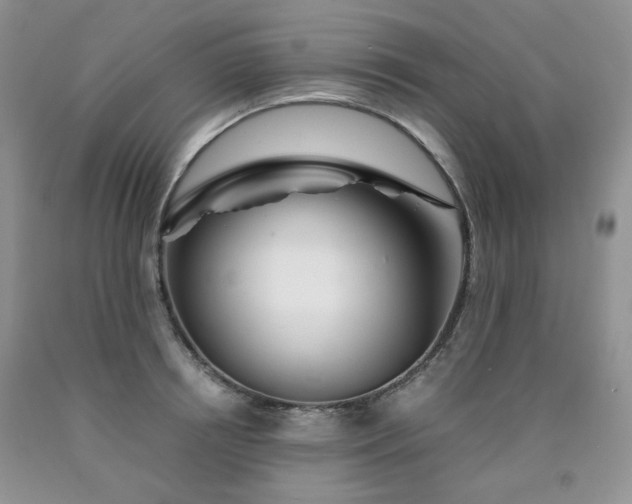 X0000090760850200707201502