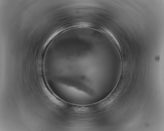 X0000090760851200707201502