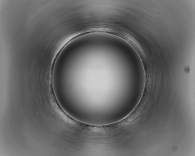 X0000090760852200707201502