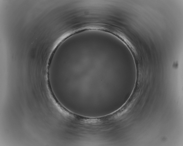 X0000090760853200707201502