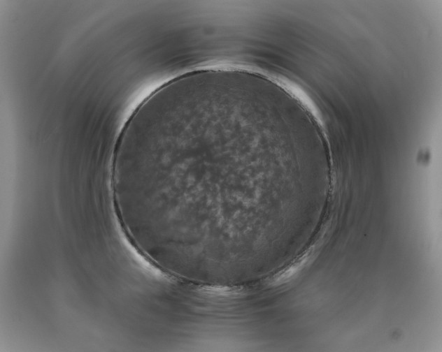 X0000090760855200707201502