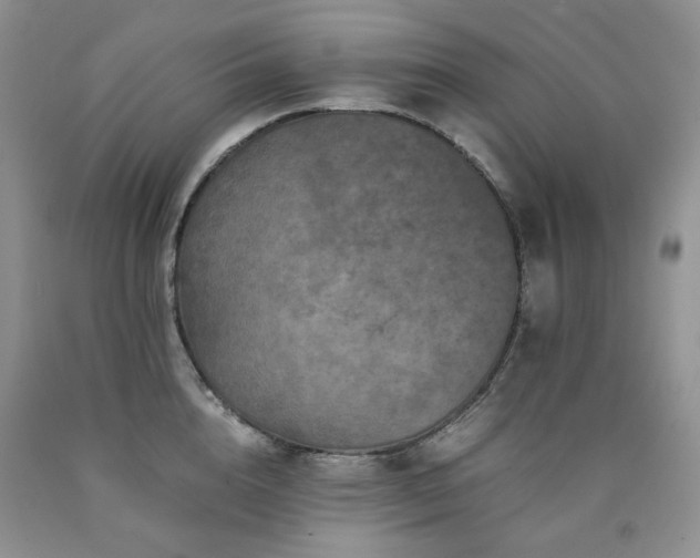 X0000090760856200707201502