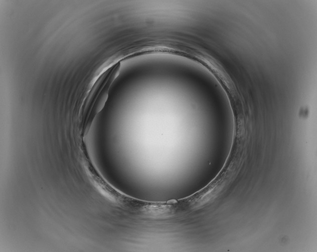 X0000090760858200707201502