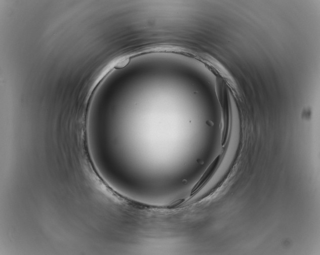 X0000090760860200707201502