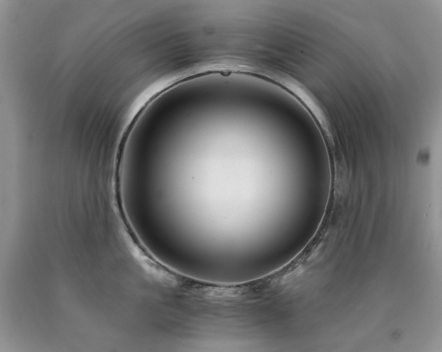 X0000090760861200707201502