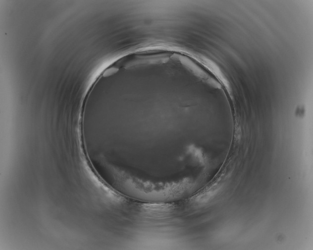 X0000090760863200707201502