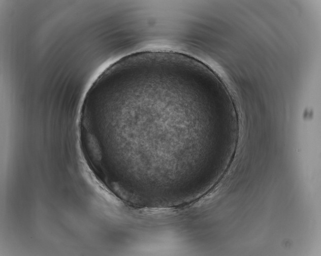 X0000090760864200707201502