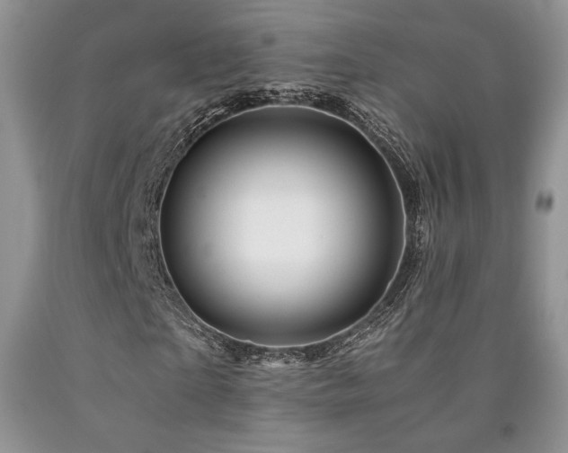 X0000090760865200707201501