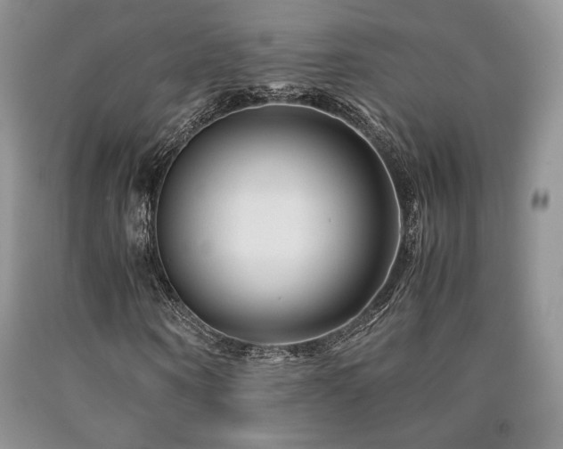 X0000090760866200707201501