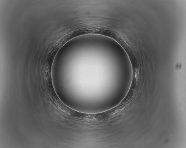 X0000090760867200707201501