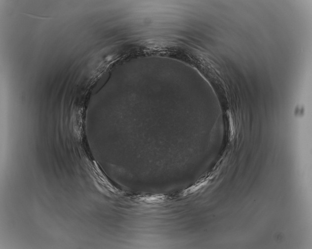 X0000090760868200707201501