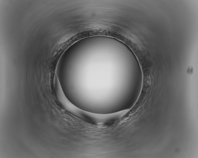 X0000090760869200707201501