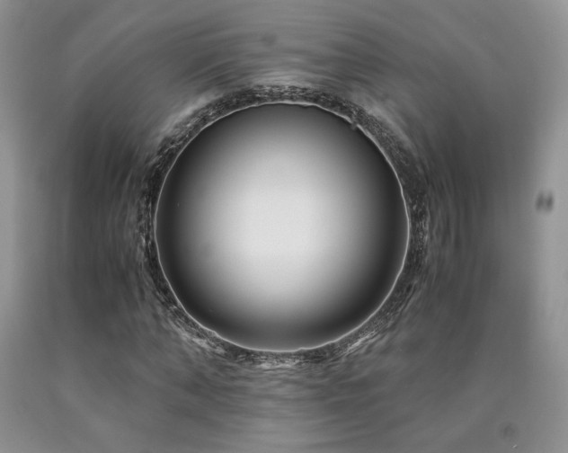 X0000090760870200707201501