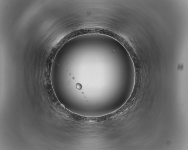 X0000090760871200707201501