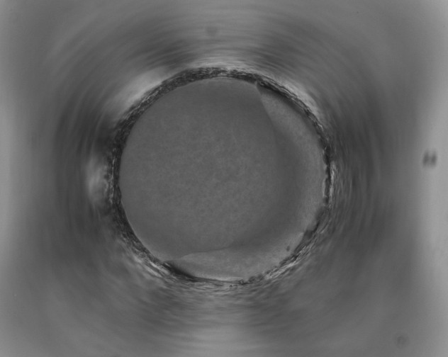 X0000090760872200707201501