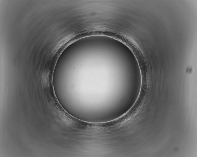 X0000090760873200707201501