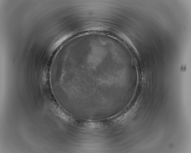 X0000090760874200707201501