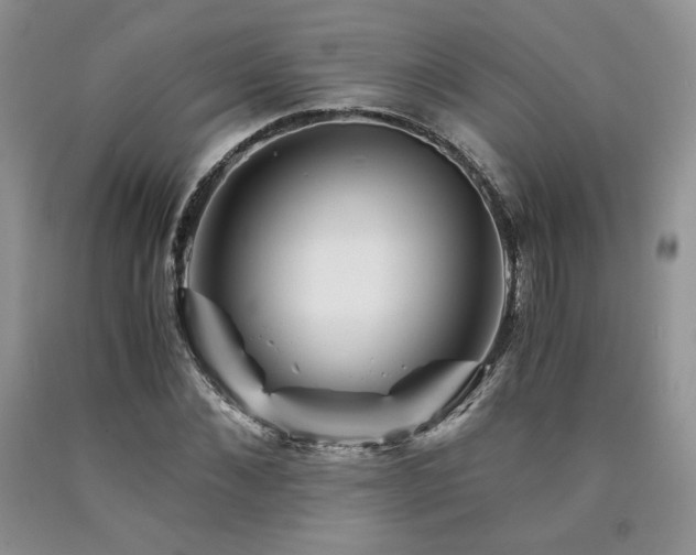 X0000090760876200707201501