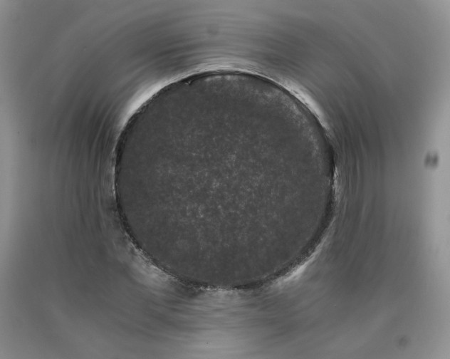 X0000090760877200707201501