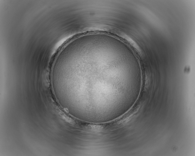 X0000090760878200707201501