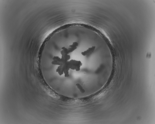 X0000090760879200707201501