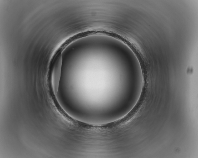 X0000090760880200707201501